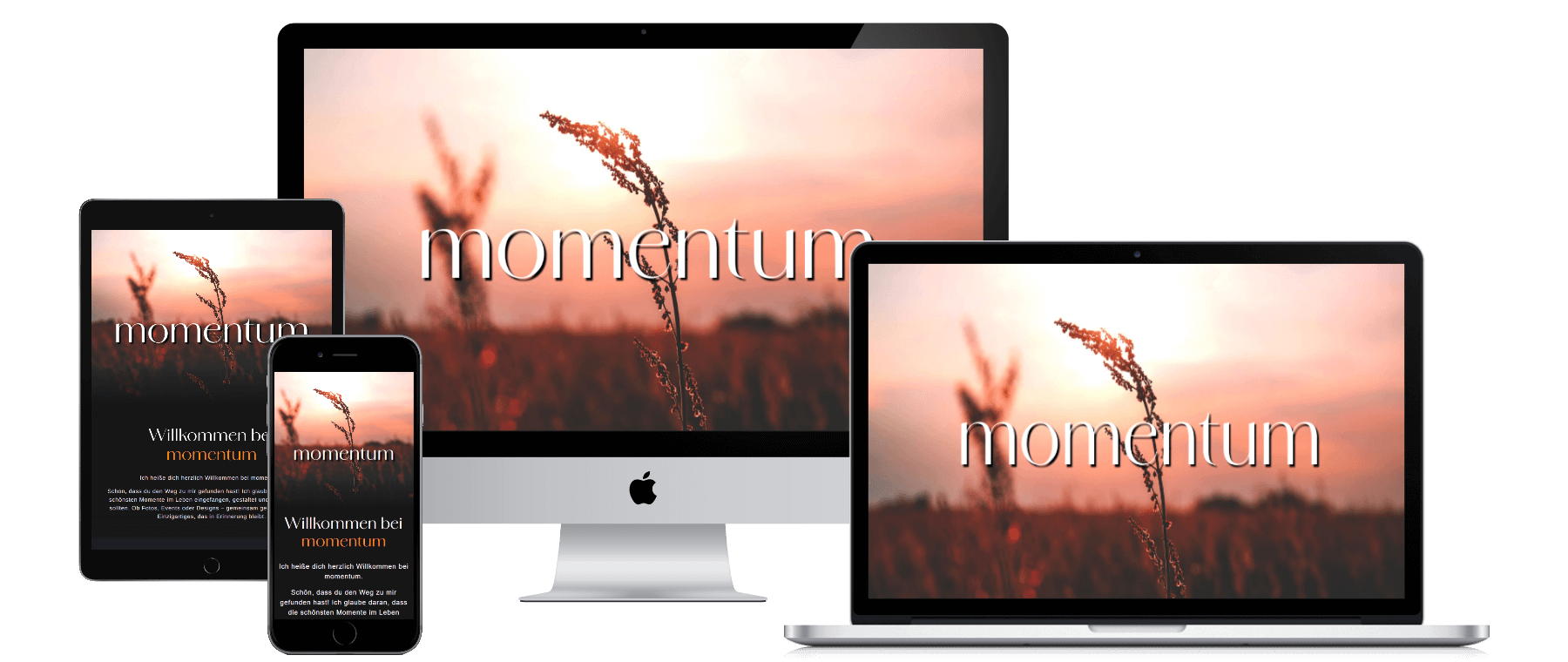 Momentum SK Webseite